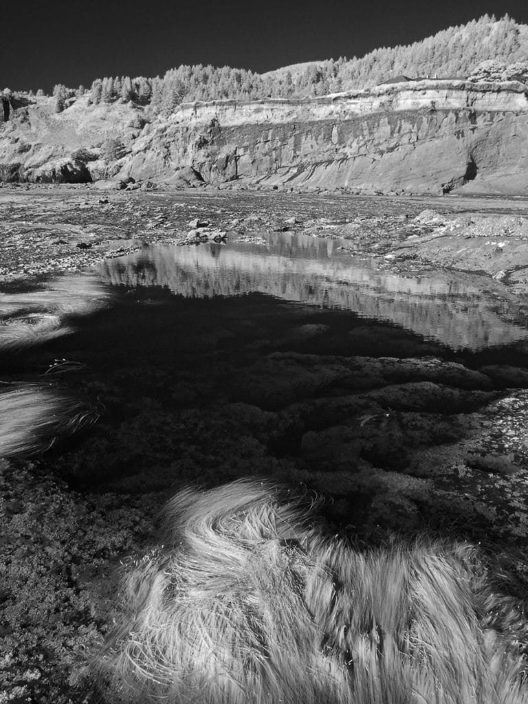 Low Tide at Devil’s Punchbowl 1 – Willamette Valley PhotoArts Guild